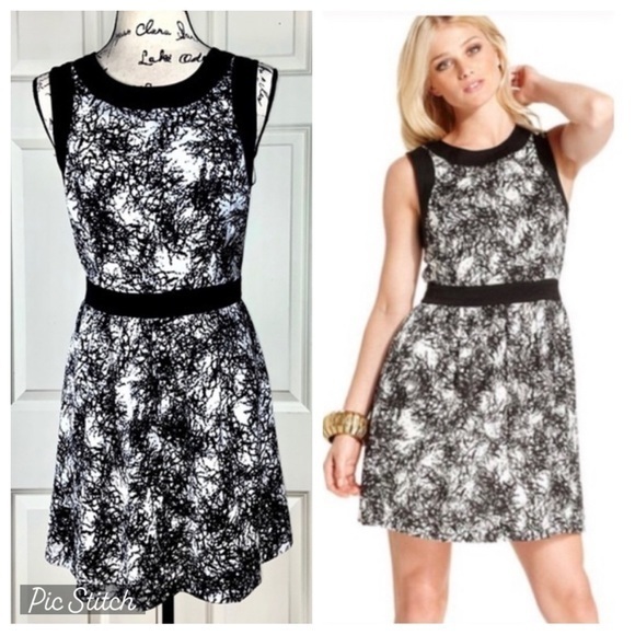 Kensie A-Line Colorblock Print Dress - Picture 1 of 7
